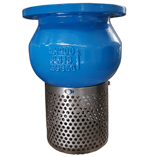 Rọ bơm (van hút) hiệu ARV AFV400